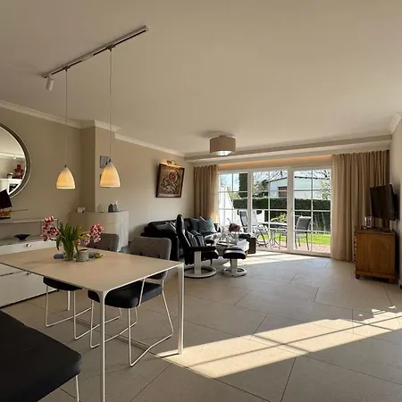 Sonnenblume * Zingst