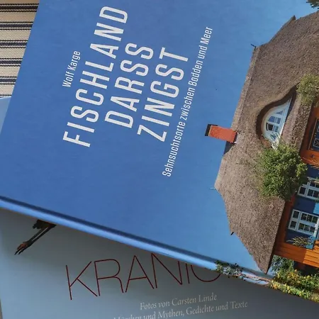 Sonnenblume * Zingst