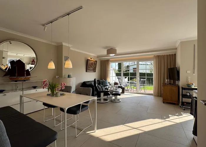 Sonnenblume * Zingst